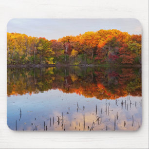 marthaler park autumn and pond reflections mouse mat