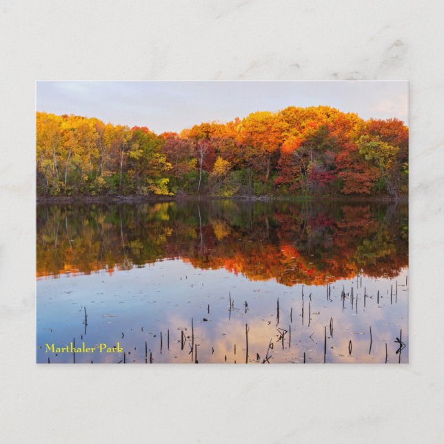 marthaler park autumn and pond reflections postcar postcard (Front)