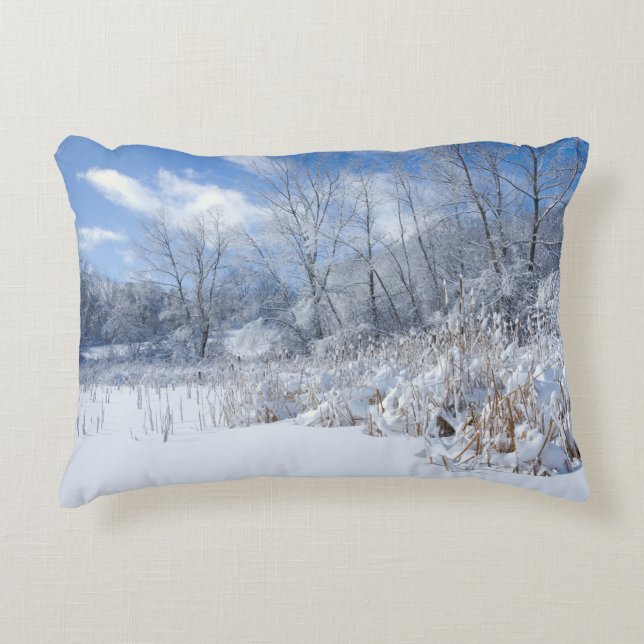 Marthaler Park Frozen Pond and Trees Decorative Cushion (Front)