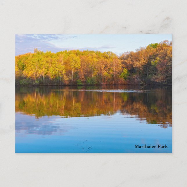 marthaler park pond and woodlands postcard (Front)