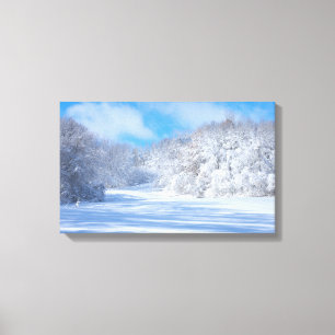 Marthaler Park Snowy Hills Canvas Print