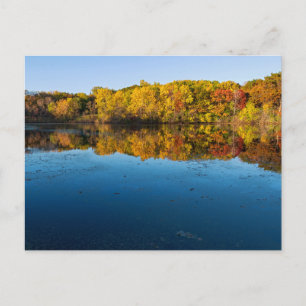 marthaler park woodlands and reflections of autumn postcard