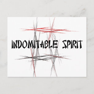 Martial Arts Indomitable Spirit Postcard