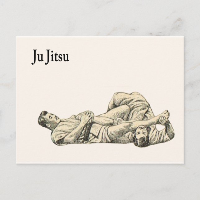 Martial Arts Ju jitsu 11 Postcard (Front)