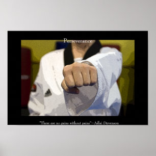 Martial Arts Middle Punch Poster