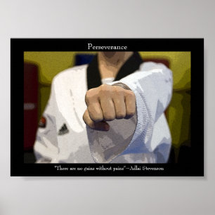 Martial Arts Middle Punch Poster