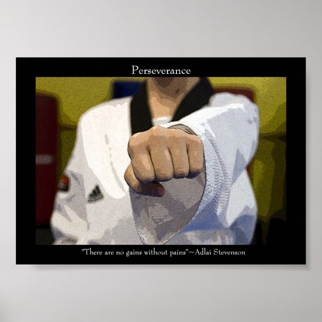 Martial Arts Middle Punch Poster (Front)
