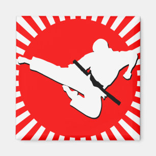 martial arts red rays magnet