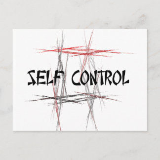 Martial Arts Self Control Postcard