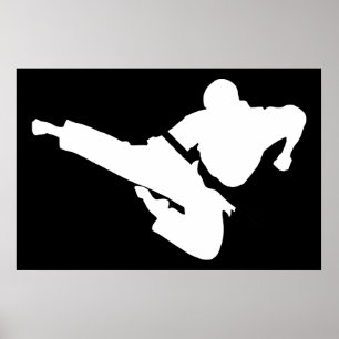 martial arts silhouettes poster