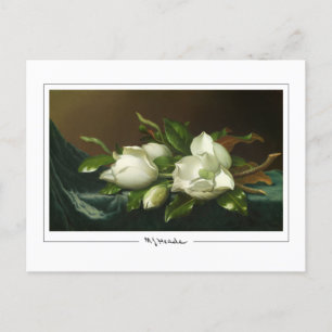 Martin Johnson Heade #12 - Fine Art Postcard