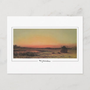 Martin Johnson Heade #22 - Fine Art Postcard