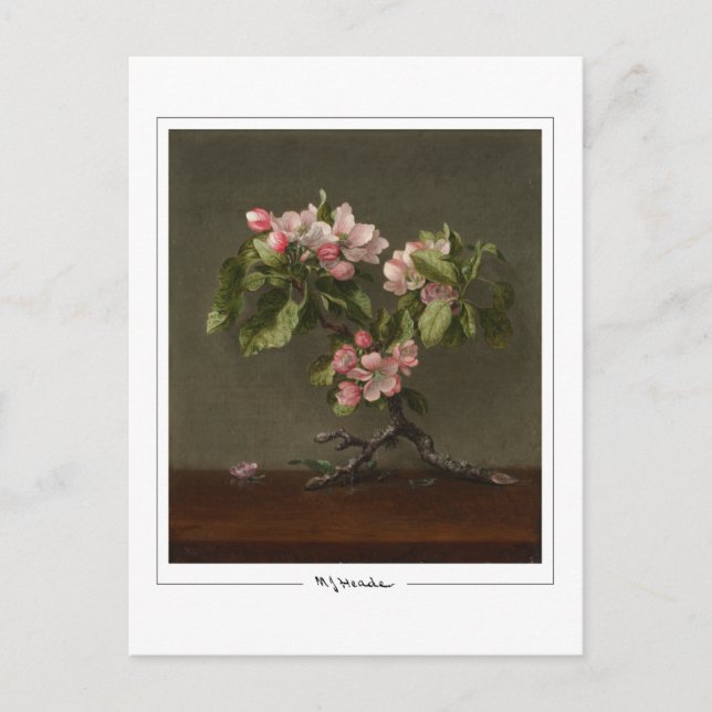 Martin Johnson Heade #26 - Fine Art Postcard (Front)