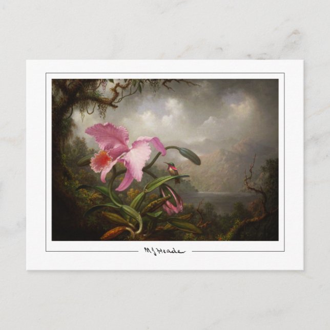 Martin Johnson Heade #45 - Fine Art Postcard (Front)