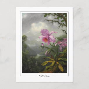Martin Johnson Heade #4 - Fine Art Postcard