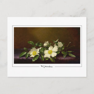 Martin Johnson Heade #52 - Fine Art Postcard