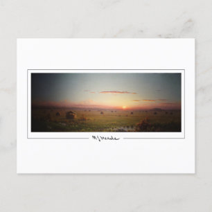 Martin Johnson Heade #77 - Fine Art Postcard