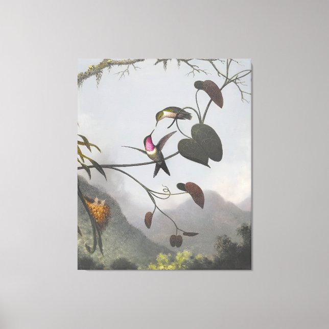 MARTIN JOHNSON HEADE - Amethyst Woodstar - 1863-64 Canvas Print (Front)