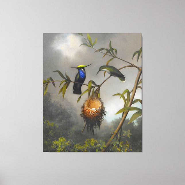 MARTIN JOHNSON HEADE - Black-breasted Plovercrest  Canvas Print (Front)