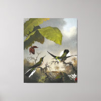 MARTIN JOHNSON HEADE - Black-eared Fairy - 1863-64