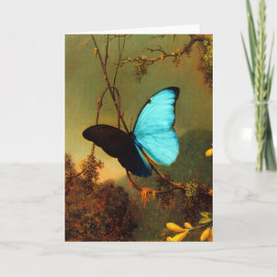 Martin Johnson Heade Blue Morpho Butterfly Card