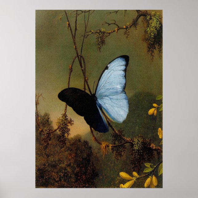 Martin Johnson Heade – Blue Morpho Butterfly Poster (Front)