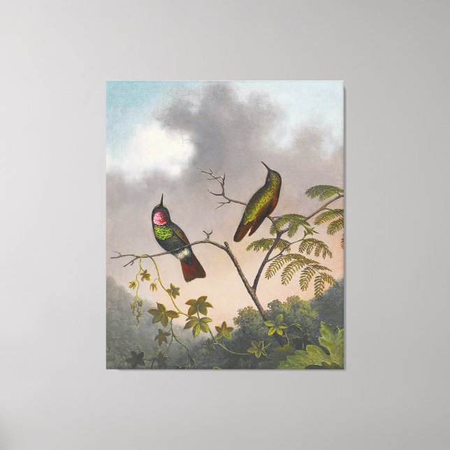 MARTIN JOHNSON HEADE - Brazilian Ruby - c. 1863-64 Canvas Print (Front)