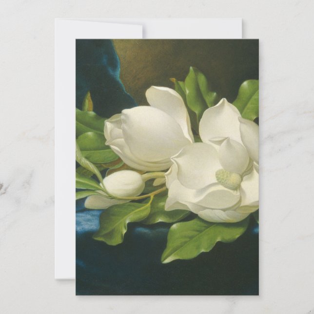 Martin Johnson Heade - Giant Magnolias (Front)