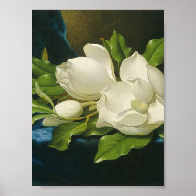 Martin Johnson Heade - Giant Magnolias Poster (Front)