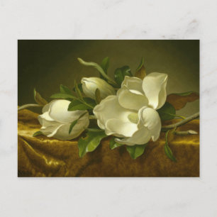 Martin Johnson Heade - Magnolias on Gold Velvet Postcard