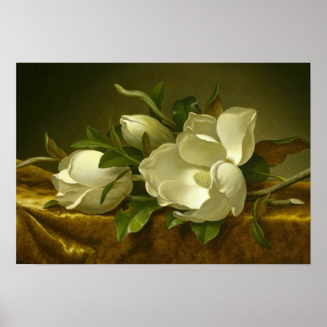 Martin Johnson Heade - Magnolias on Gold Velvet Poster (Front)