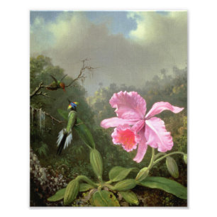 Martin Johnson Heade Orchid And Hummingbirds Photo Print