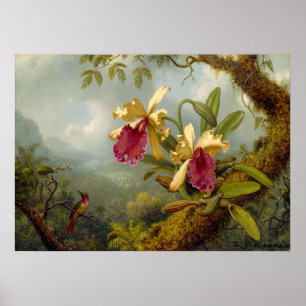 Martin Johnson Heade - Orchids and hummingbird Poster