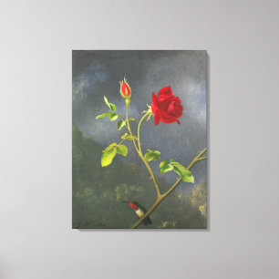 MARTIN JOHNSON HEADE - Red Rose with Ruby Throat - Canvas Print