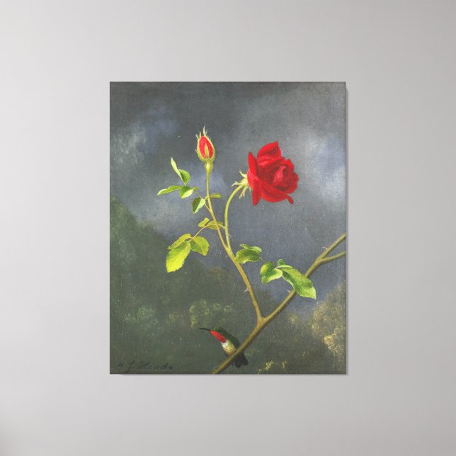 MARTIN JOHNSON HEADE - Red Rose with Ruby Throat - Canvas Print (Front)