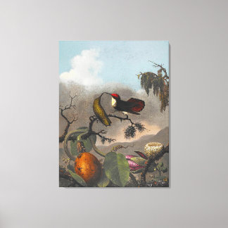 MARTIN JOHNSON HEADE - Ruby-Topaz - c. 1863-1864 - Canvas Print