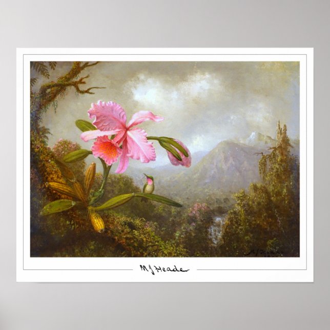 Martin Johnson Heade Zedign Art Poster #8 (Front)