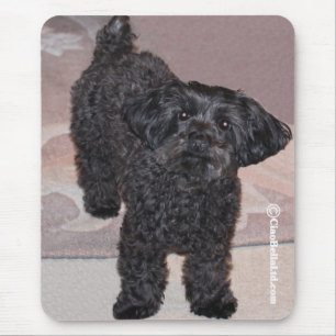 Martini the Yorkie-Poo Mouse Mat