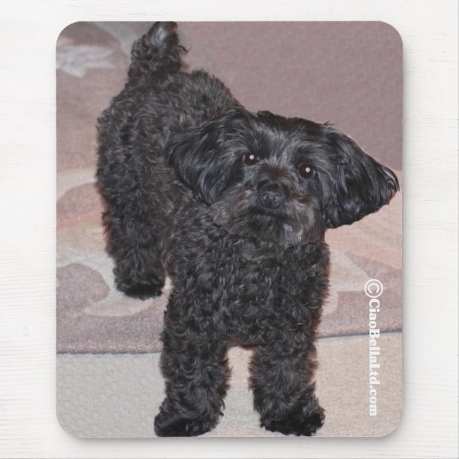 Martini the Yorkie-Poo Mouse Mat (Front)