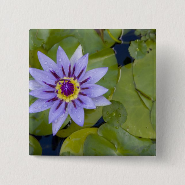 Martinique, French Antilles, West Indies, Blue 15 Cm Square Badge (Front)