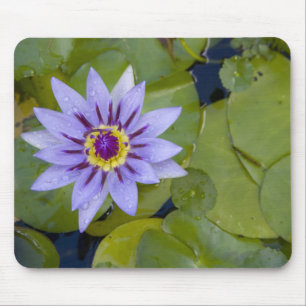 Martinique, French Antilles, West Indies, Blue Mouse Mat