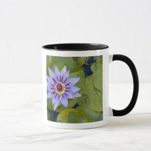 Martinique, French Antilles, West Indies, Blue Mug