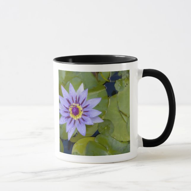 Martinique, French Antilles, West Indies, Blue Mug (Right)