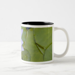 Martinique, French Antilles, West Indies, Blue Two-Tone Coffee Mug
