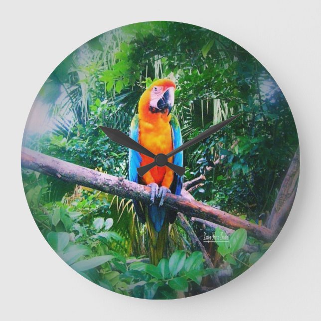 Martinique Macaw Large Clock (Front)