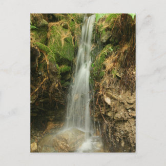 Martin's Brook Road Postcard