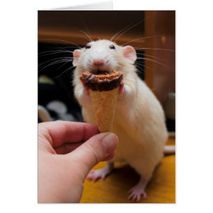 Marty Eating Ice Cream