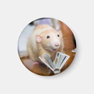 Marty Mouse Loves to Read Magnet