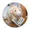 Marty Mouse Loves to Read Magnet