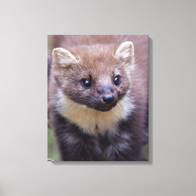 Marty Wrapped Canvas (Front)